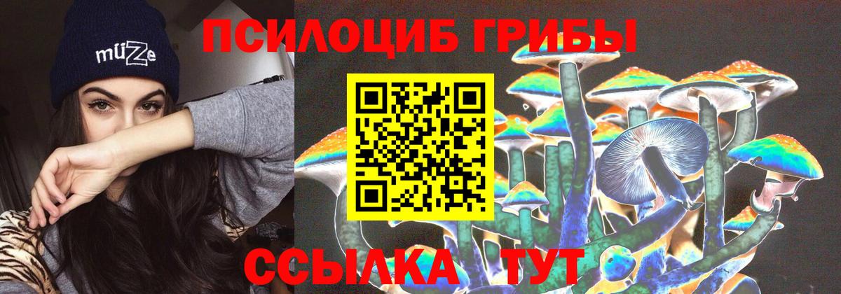Острогожск  Псилоцибиновые грибы мицелий  Вход с VPN 
